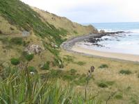 Albums/20060200-New Zealand 2006/20060313-Catlins/81